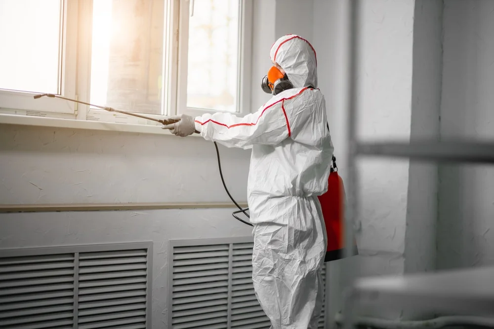 Professional mold remediation services in La Coste, TX
